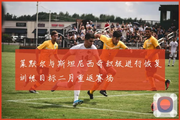 莱默尔与斯坦尼西奇积极进行恢复训练目标二月重返赛场