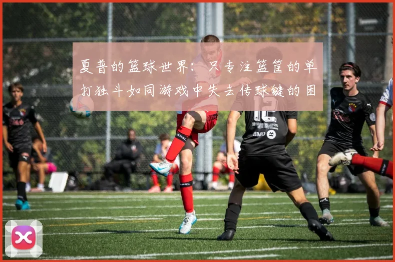 夏普的篮球世界：只专注篮筐的单打独斗如同游戏中失去传球键的困境
