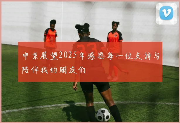 申京展望2025年感恩每一位支持与陪伴我的朋友们